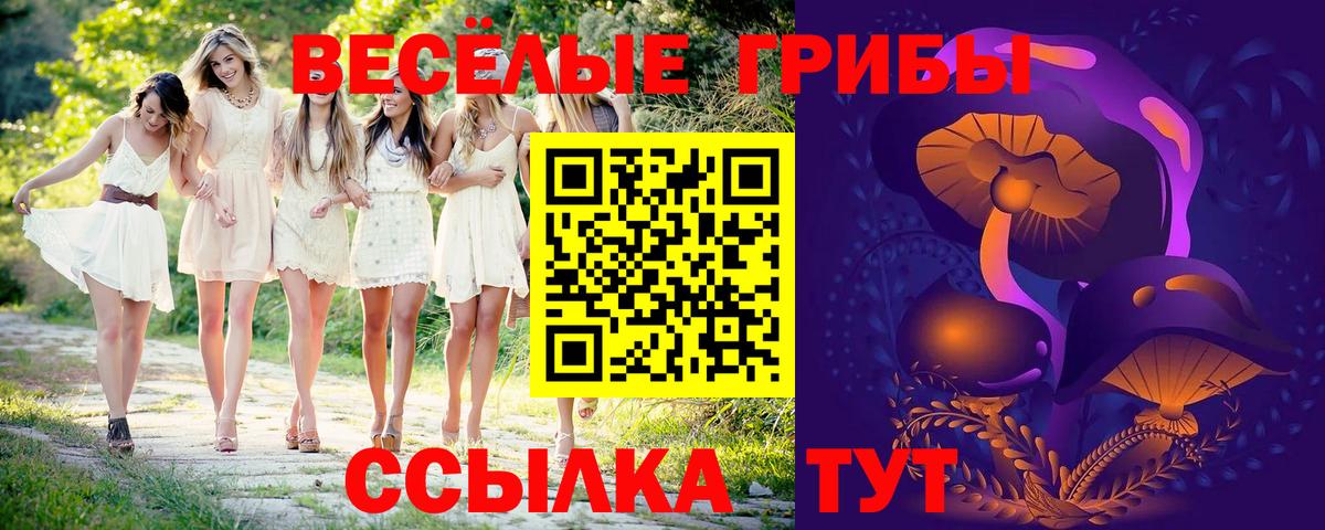Псилоцибиновые грибы GOLDEN TEACHER  Галлюциногенные грибы Cubensis  Алапаевск  Вход с VPN 